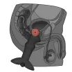 LOVETOY prosztata izgató Anal Indulgence Collection Prostate Stud - fekete színben, vízálló, elemes