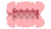 FLESHLIGHT maszturbátor Stamina Training Unit Quickshot Lady/Butt  - realisztikus, ánusz és vagina nyílással, testszínű, vízálló, vibráció nélküli