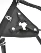Strapon dildó hám Pipedream Fit Rite Harness Black