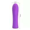 Mini vibrátor Pretty Love Alfreda Purple II - akkumulátoros,vízálló