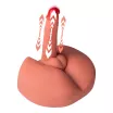 Műánusz maszturbátor dildóval Mistress Honey - akkumulátoros, vízálló