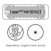 Műpunci és ánusz maszturbátor Lovetoy Virgin-skin Blowout Vagina and Anus - vízálló