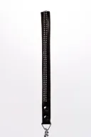 BDSM nyakörv pórázzal Devil Sticks Black